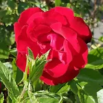 Schnuckelig Und Fein Apartament *